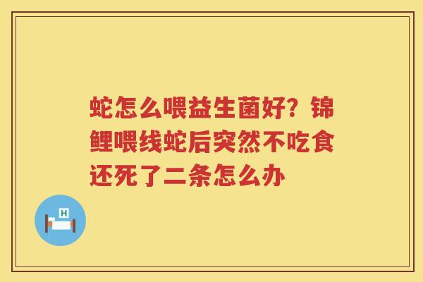 蛇怎么喂益生菌好？锦鲤喂线蛇后突然不吃食还死了二条怎么办