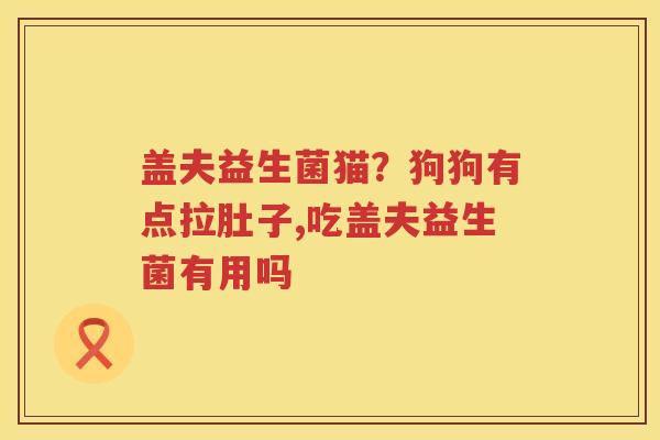 盖夫益生菌猫？狗狗有点拉肚子,吃盖夫益生菌有用吗