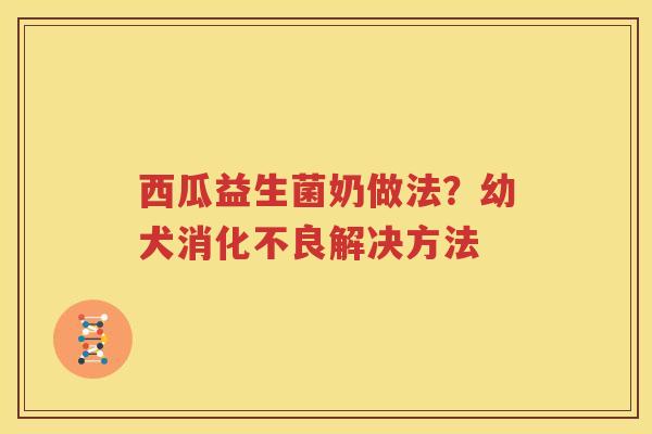 西瓜益生菌奶做法？幼犬消化不良解决方法