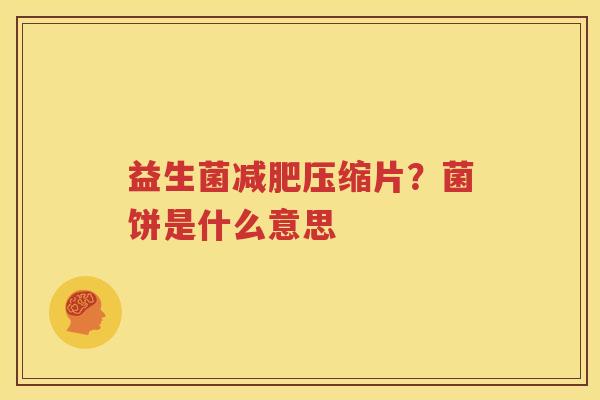 益生菌减肥压缩片？菌饼是什么意思