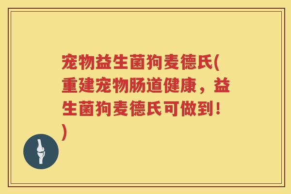 宠物益生菌狗麦德氏(重建宠物肠道健康，益生菌狗麦德氏可做到！)