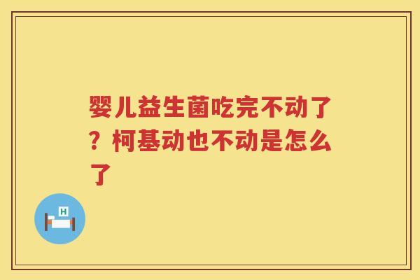 婴儿益生菌吃完不动了？柯基动也不动是怎么了
