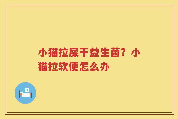 小猫拉屎干益生菌？小猫拉软便怎么办