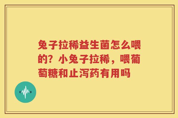 兔子拉稀益生菌怎么喂的？小兔子拉稀，喂葡萄糖和止泻药有用吗