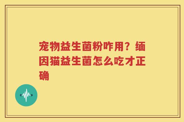 宠物益生菌粉咋用？缅因猫益生菌怎么吃才正确