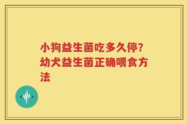 小狗益生菌吃多久停？幼犬益生菌正确喂食方法