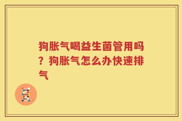 狗胀气喝益生菌管用吗？狗胀气怎么办快速排气