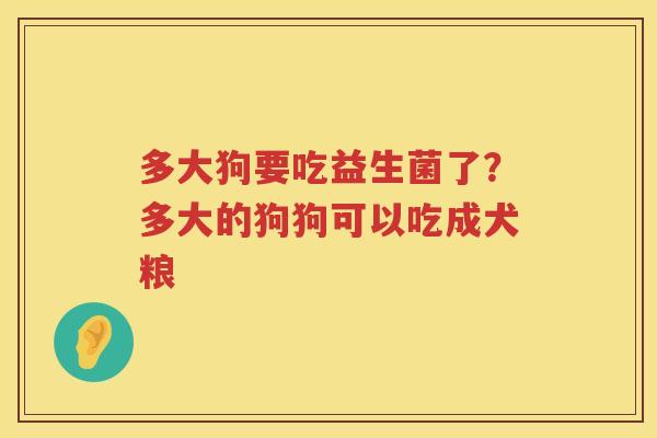 多大狗要吃益生菌了？多大的狗狗可以吃成犬粮