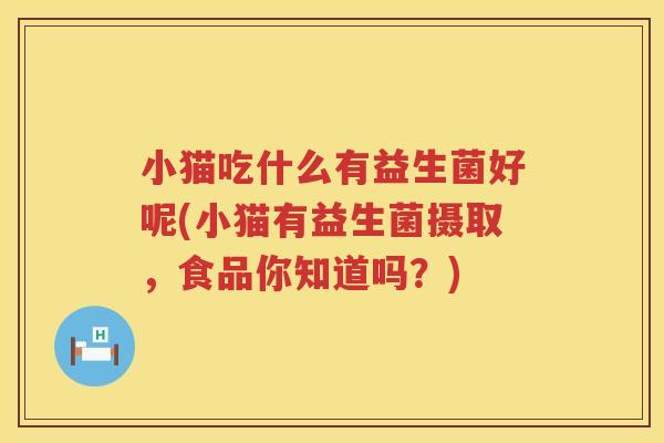 小猫吃什么有益生菌好呢(小猫有益生菌摄取，食品你知道吗？)