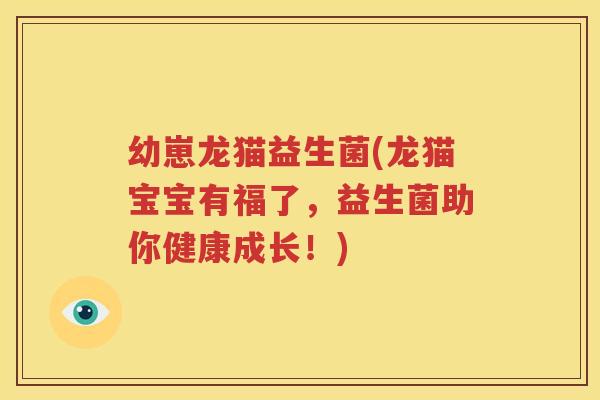 幼崽龙猫益生菌(龙猫宝宝有福了，益生菌助你健康成长！)