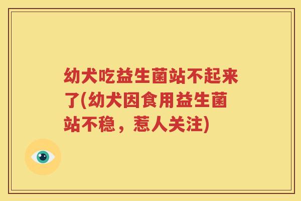 幼犬吃益生菌站不起来了(幼犬因食用益生菌站不稳，惹人关注)