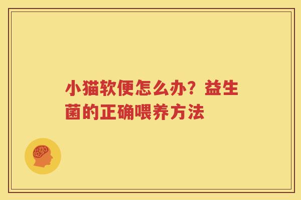 小猫软便怎么办？益生菌的正确喂养方法