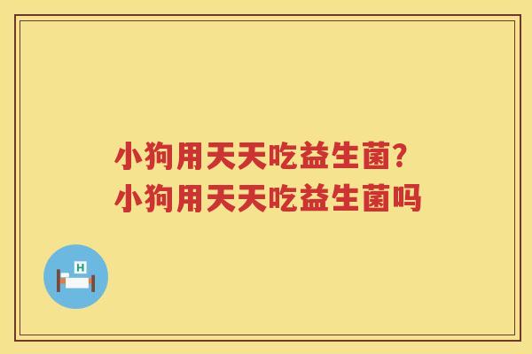 小狗用天天吃益生菌？小狗用天天吃益生菌吗