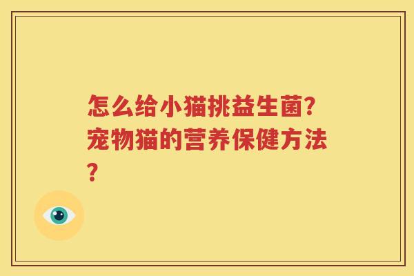 怎么给小猫挑益生菌？宠物猫的营养保健方法？