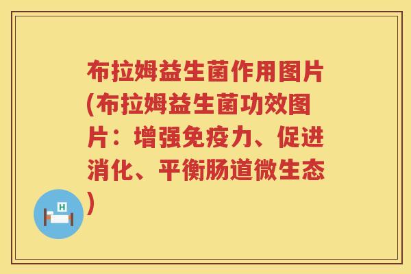 布拉姆益生菌作用图片(布拉姆益生菌功效图片：增强免疫力、促进消化、平衡肠道微生态)