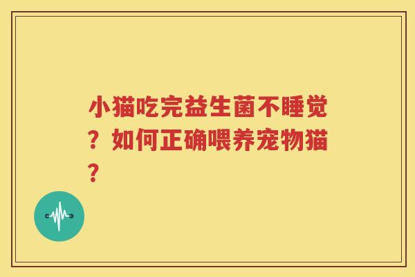 小猫吃完益生菌不睡觉？如何正确喂养宠物猫？