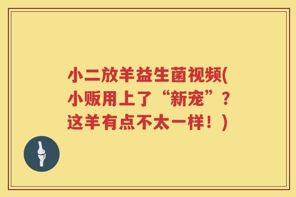小二放羊益生菌视频(小贩用上了“新宠”？这羊有点不太一样！)