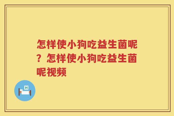 怎样使小狗吃益生菌呢？怎样使小狗吃益生菌呢视频