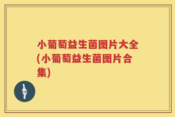 小葡萄益生菌图片大全(小葡萄益生菌图片合集)