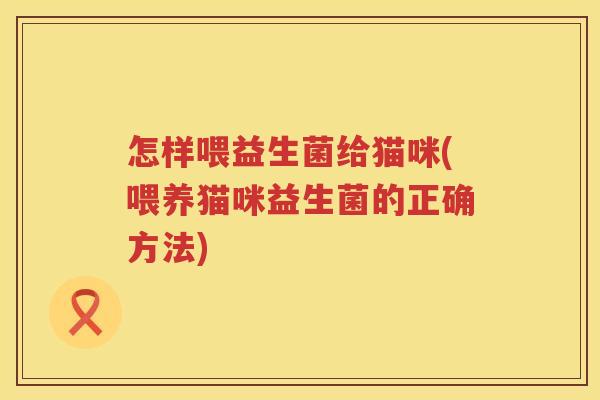 怎样喂益生菌给猫咪(喂养猫咪益生菌的正确方法)