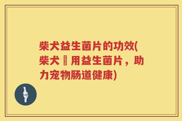柴犬益生菌片的功效(柴犬専用益生菌片，助力宠物肠道健康)