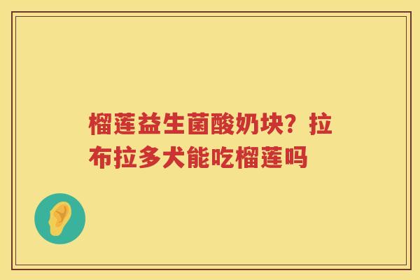 榴莲益生菌酸奶块？拉布拉多犬能吃榴莲吗