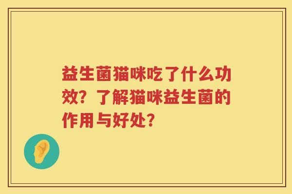 益生菌猫咪吃了什么功效？了解猫咪益生菌的作用与好处？