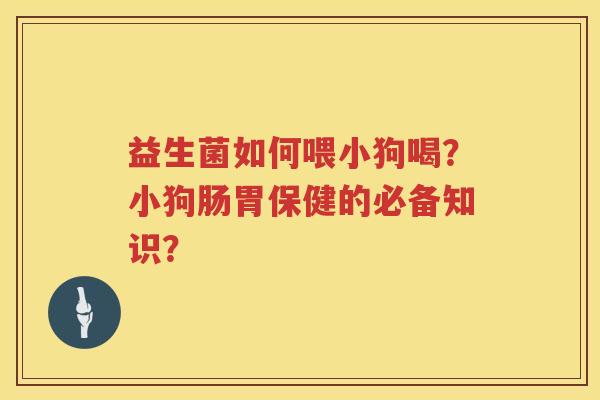 益生菌如何喂小狗喝？小狗肠胃保健的必备知识？