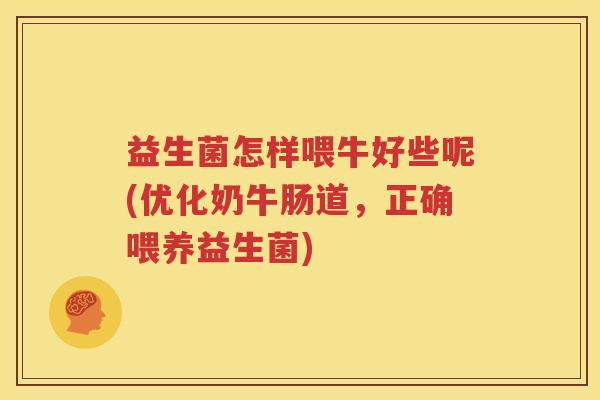 益生菌怎样喂牛好些呢(优化奶牛肠道，正确喂养益生菌)