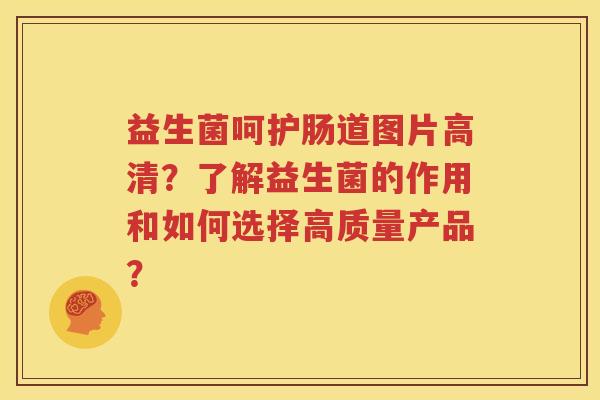 益生菌呵护肠道图片高清？了解益生菌的作用和如何选择高质量产品？