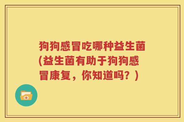 狗狗感冒吃哪种益生菌(益生菌有助于狗狗感冒康复，你知道吗？)