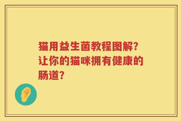猫用益生菌教程图解？让你的猫咪拥有健康的肠道？