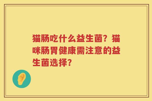 猫肠吃什么益生菌？猫咪肠胃健康需注意的益生菌选择？
