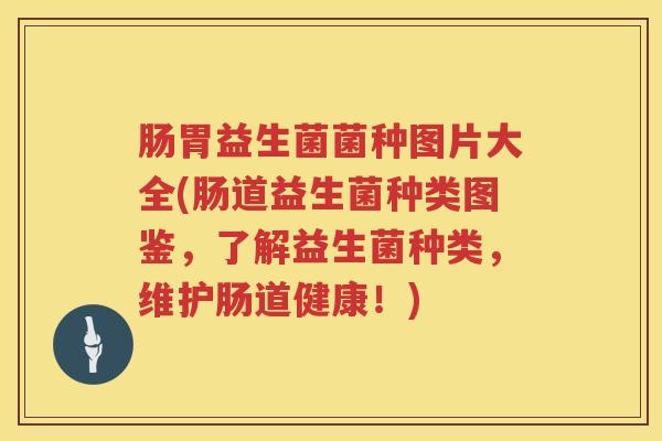 肠胃益生菌菌种图片大全(肠道益生菌种类图鉴，了解益生菌种类，维护肠道健康！)
