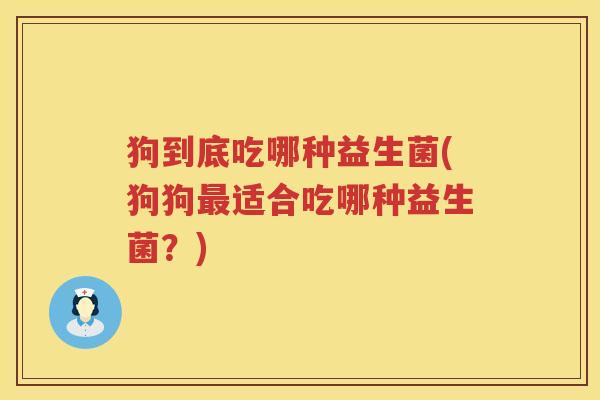 狗到底吃哪种益生菌(狗狗最适合吃哪种益生菌？)