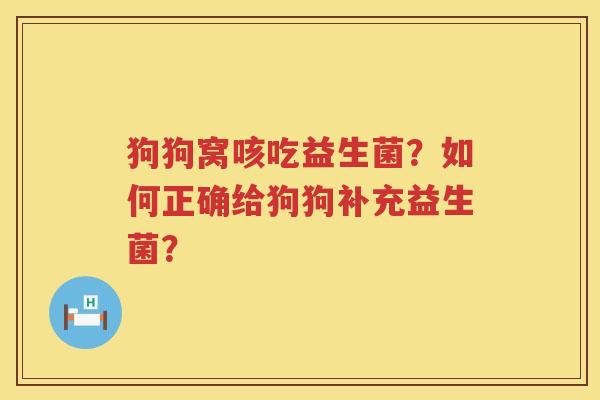 狗狗窝咳吃益生菌？如何正确给狗狗补充益生菌？