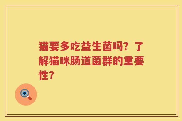 猫要多吃益生菌吗？了解猫咪肠道菌群的重要性？