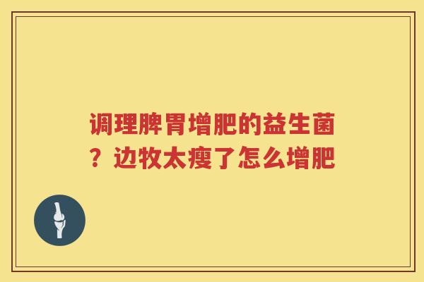 调理脾胃增肥的益生菌？边牧太瘦了怎么增肥