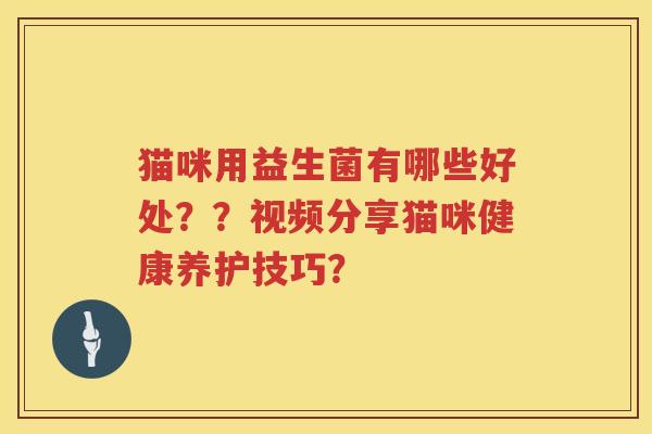 猫咪用益生菌有哪些好处？？视频分享猫咪健康养护技巧？
