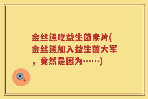 金丝熊吃益生菌素片(金丝熊加入益生菌大军，竟然是因为……)