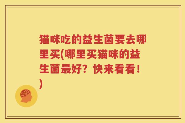 猫咪吃的益生菌要去哪里买(哪里买猫咪的益生菌最好？快来看看！)