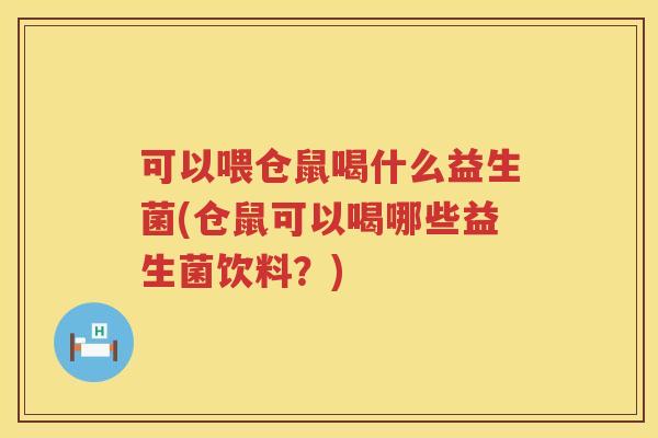 可以喂仓鼠喝什么益生菌(仓鼠可以喝哪些益生菌饮料？)