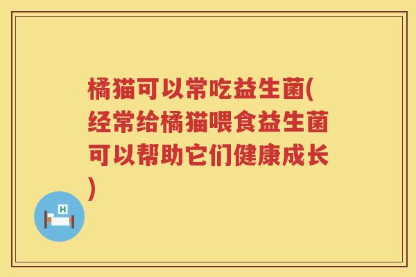 橘猫可以常吃益生菌(经常给橘猫喂食益生菌可以帮助它们健康成长)