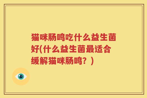 猫咪肠鸣吃什么益生菌好(什么益生菌最适合缓解猫咪肠鸣？)