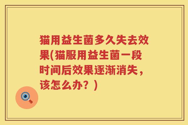 猫用益生菌多久失去效果(猫服用益生菌一段时间后效果逐渐消失，该怎么办？)