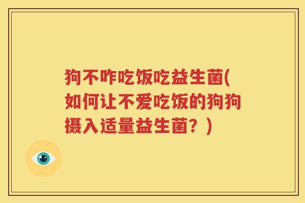 狗不咋吃饭吃益生菌(如何让不爱吃饭的狗狗摄入适量益生菌？)