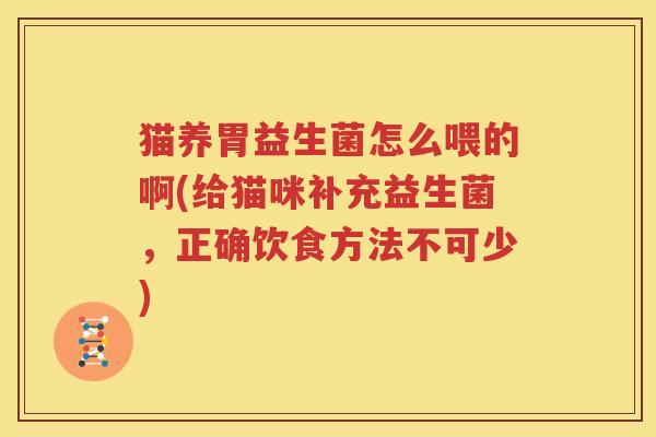 猫养胃益生菌怎么喂的啊(给猫咪补充益生菌，正确饮食方法不可少)