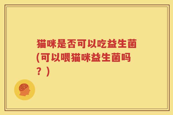 猫咪是否可以吃益生菌(可以喂猫咪益生菌吗？)