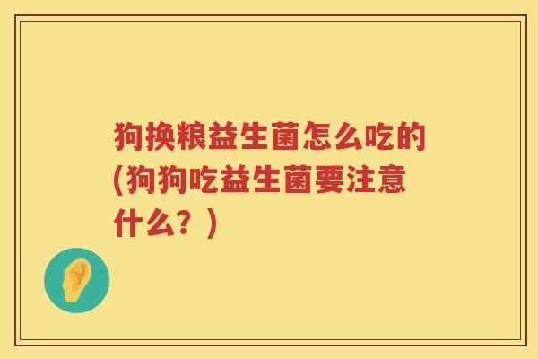 狗换粮益生菌怎么吃的(狗狗吃益生菌要注意什么？)