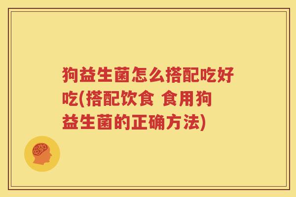 狗益生菌怎么搭配吃好吃(搭配饮食 食用狗益生菌的正确方法)